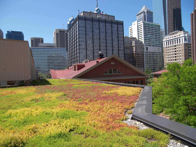 paysagiste-ST PAUL DE VENCE-min_green-roof-portfolio-4